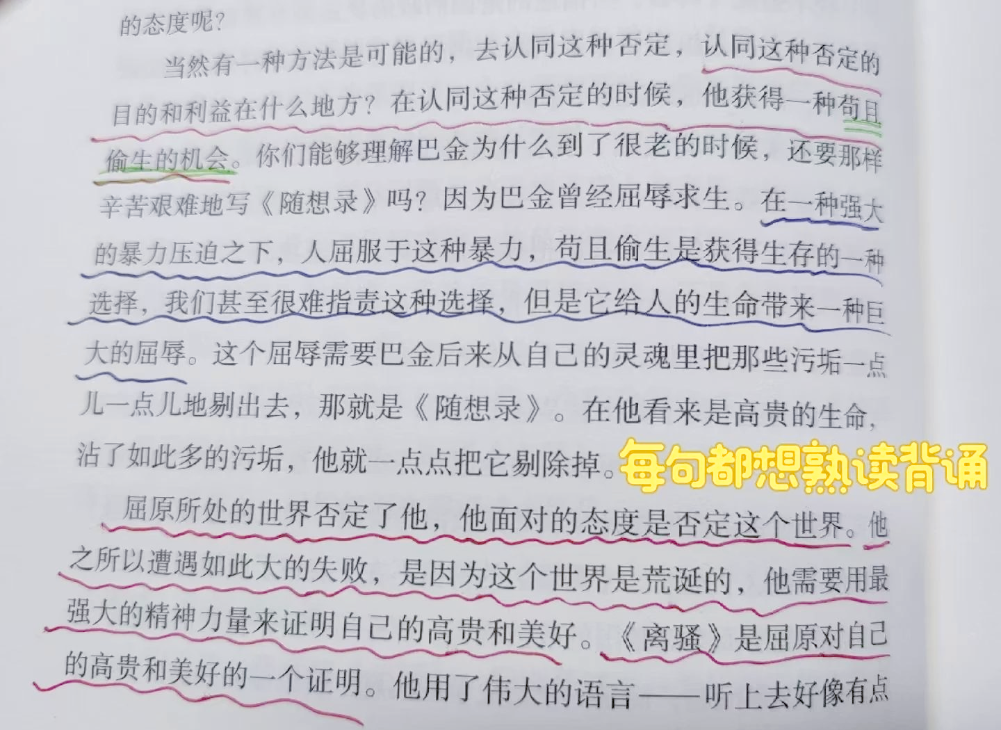 语文课代表的柔软触感-第2张图片
