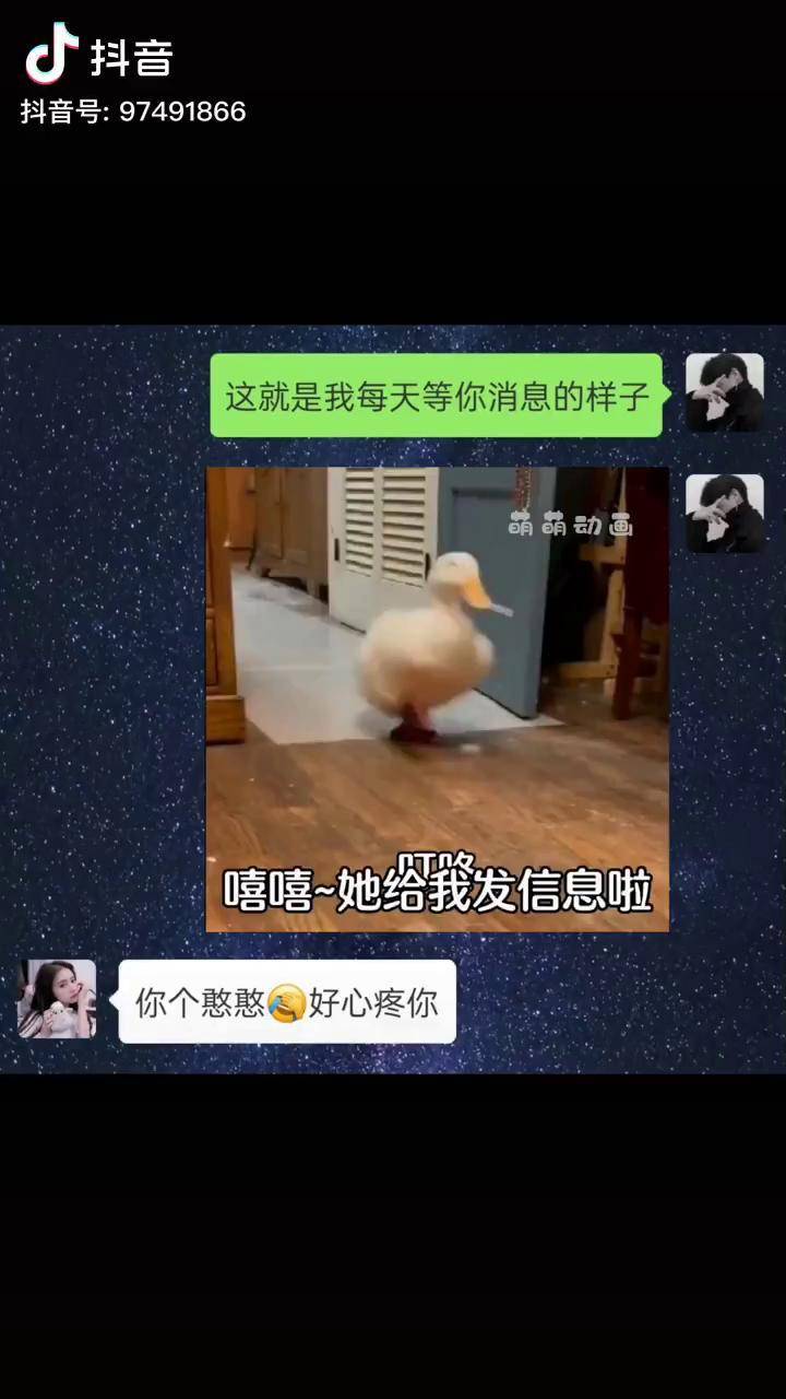 富二代抖音app污版抖音app揭秘-第1张图片