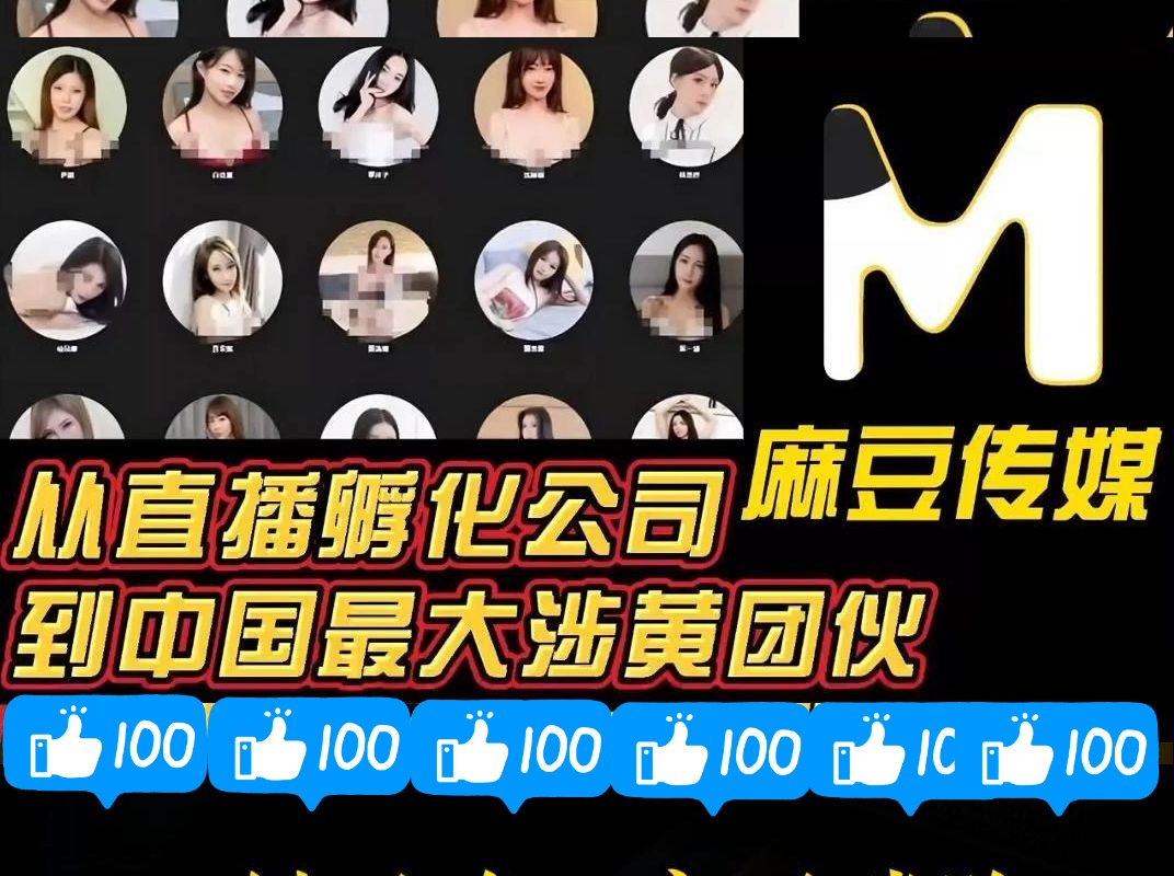 麻豆精品麻豆精品，时尚与艺术的完美融合-第1张图片