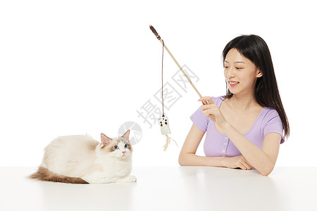 阿朱逗猫图片高清阿朱逗猫的故事-第2张图片