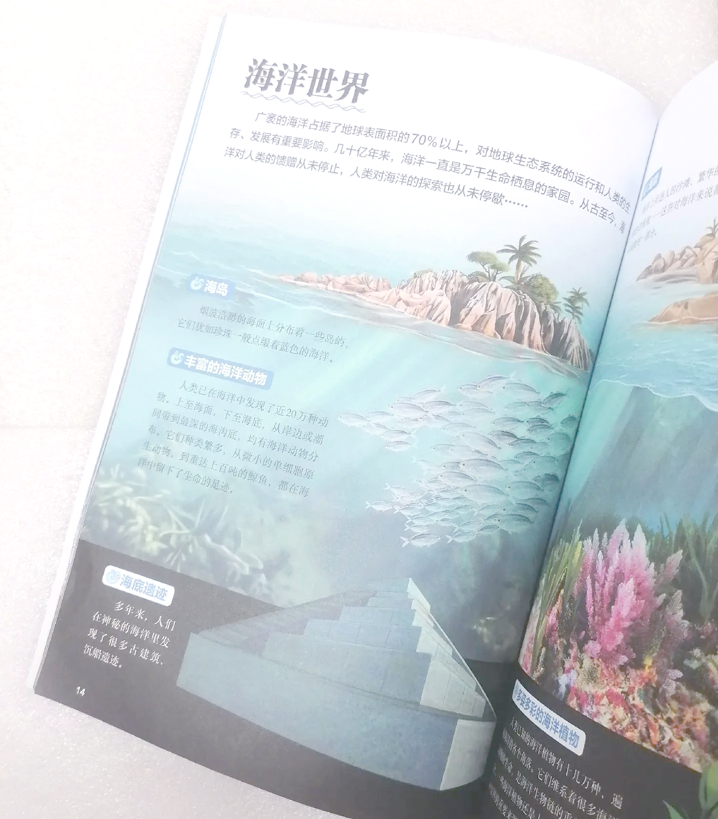 狠狠搜2020狠狠搜，探索无尽的知识海洋