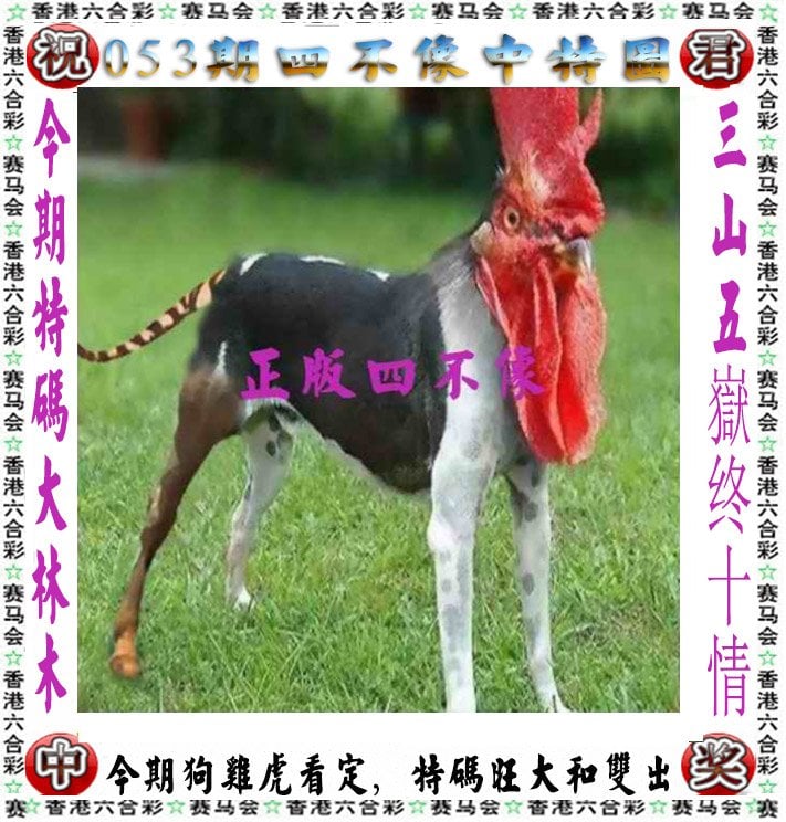 刘伯温三期一肖必开一期开通刘伯温三期一肖必开一期