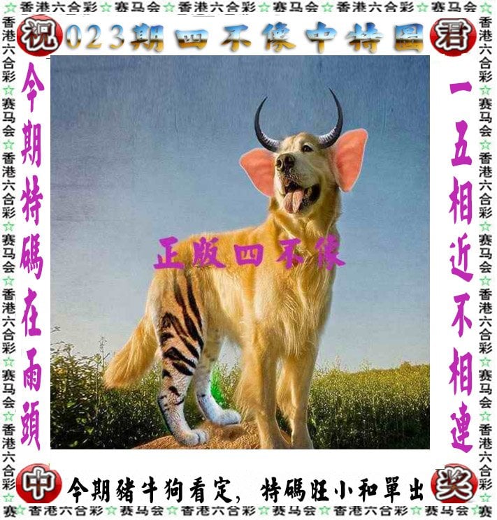 澳门开奖结果记录历史回顾