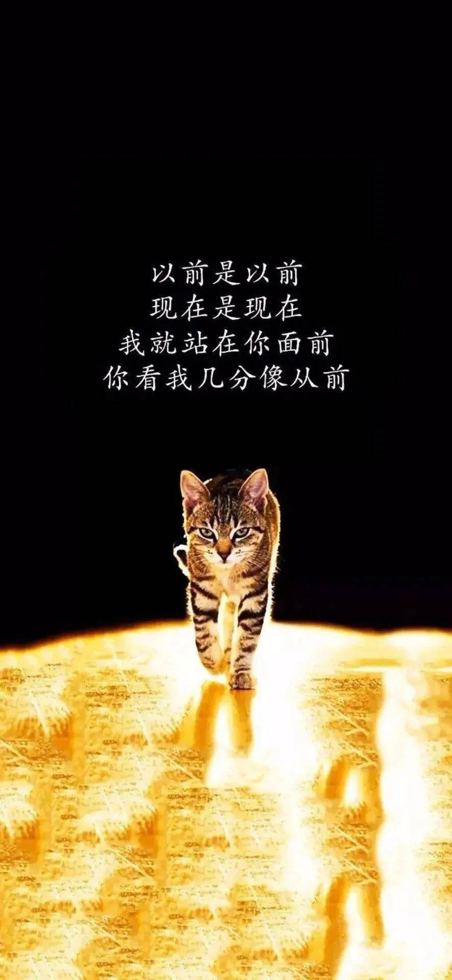 乐透乐，一种快乐与幸运的交织