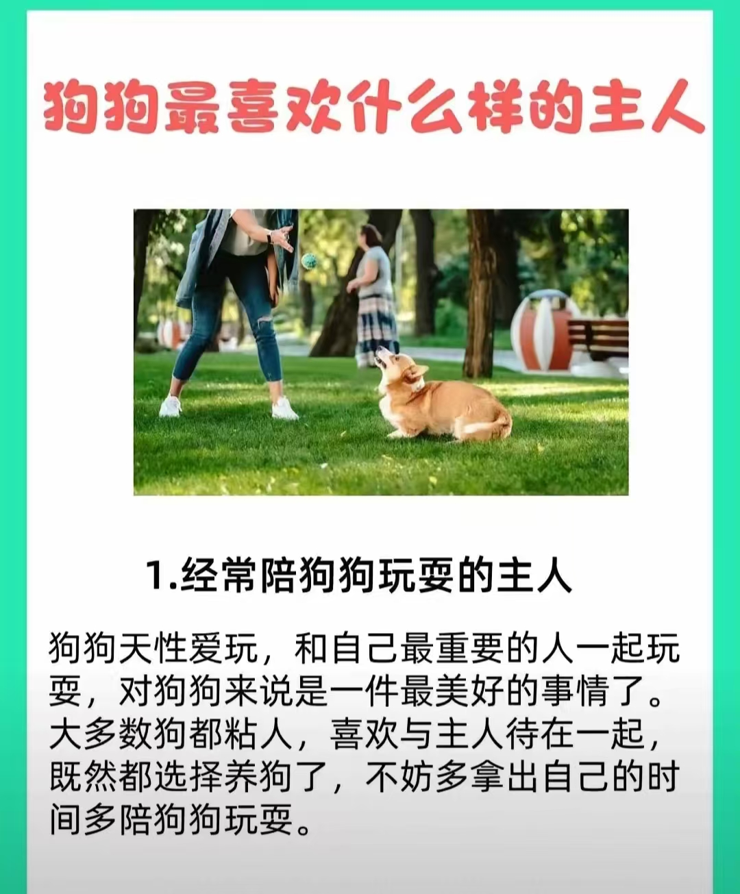 老公不在找狗狗帮忙寻找狗狗帮忙，老公不在的温馨之选