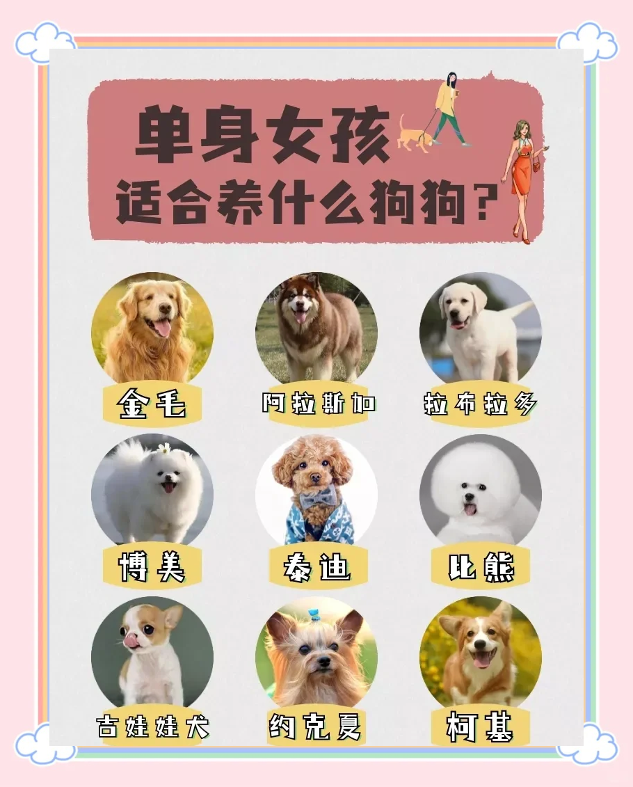 什么狗适合女人养晚上用什么狗适合女人养晚上用