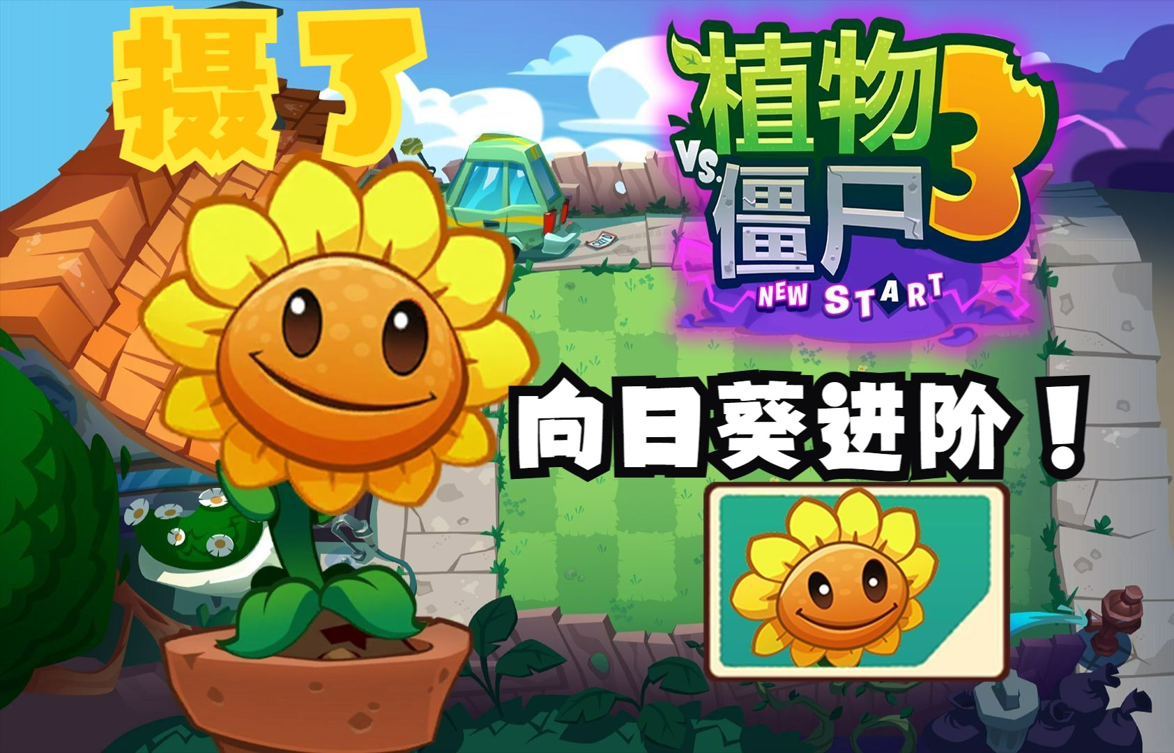 向日葵视频app污污网站在线观看向日葵视频app污污网站揭秘