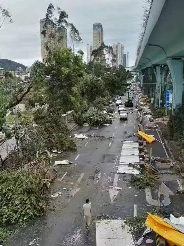 上海 台风上海遭遇台风，风雨中的城市之旅-第2张图片