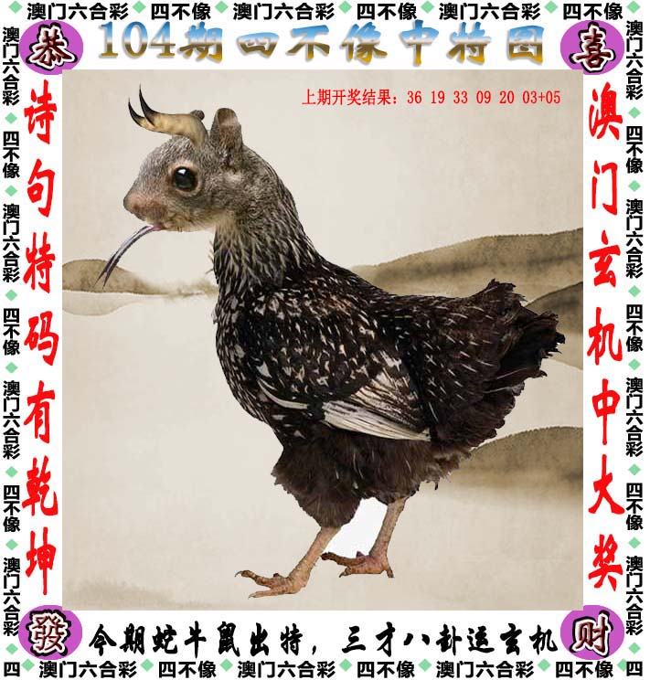 澳门最精准免费全网资料文章-第2张图片