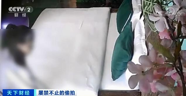 偷拍论坛，隐私与自由的边界
