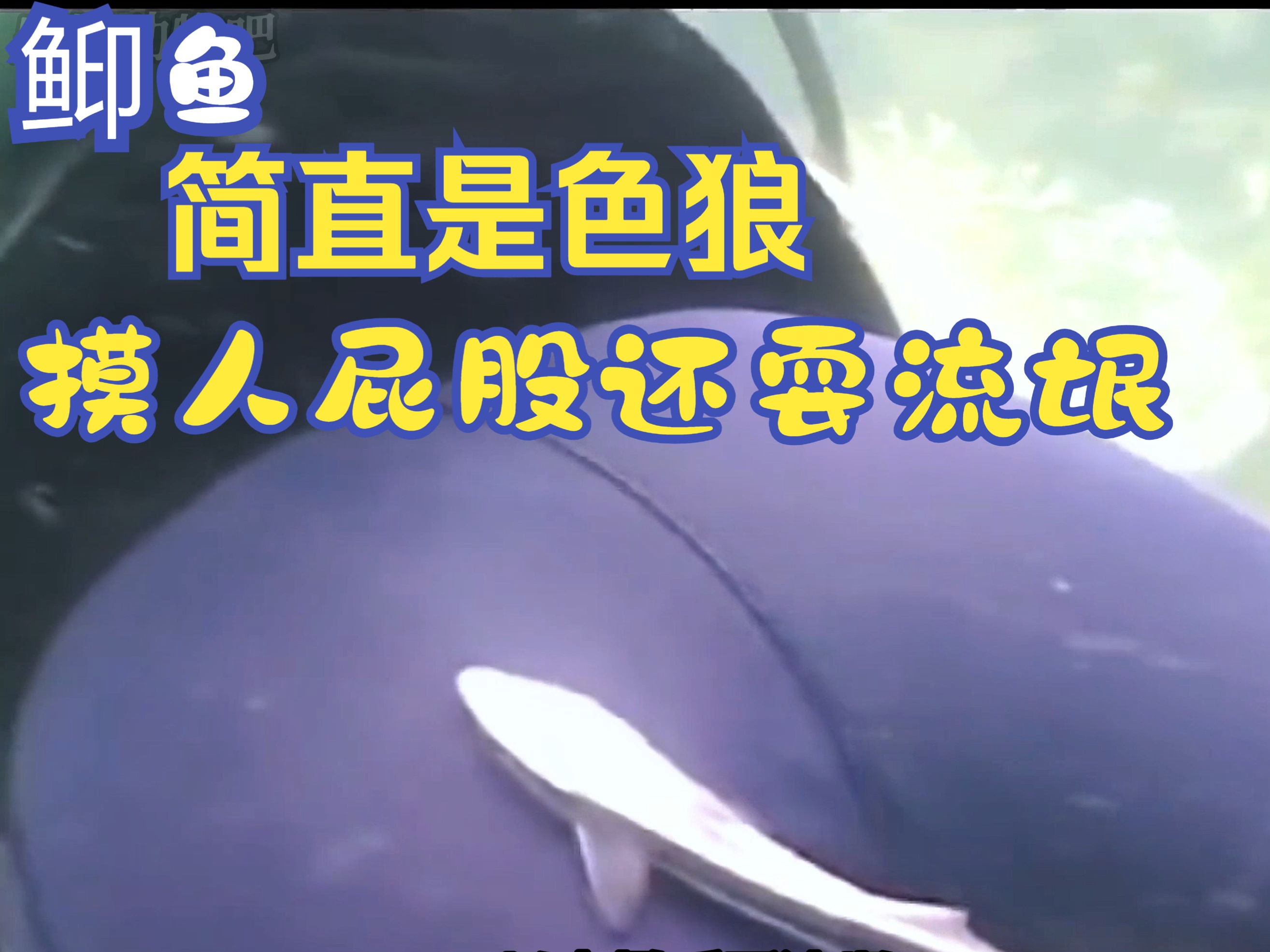 东宫禁脔(H 调教)东宫禁脔，H调教下的极致诱惑