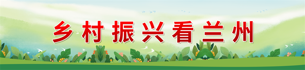 中国免费视频播放中国免费毛片现象解析-第2张图片