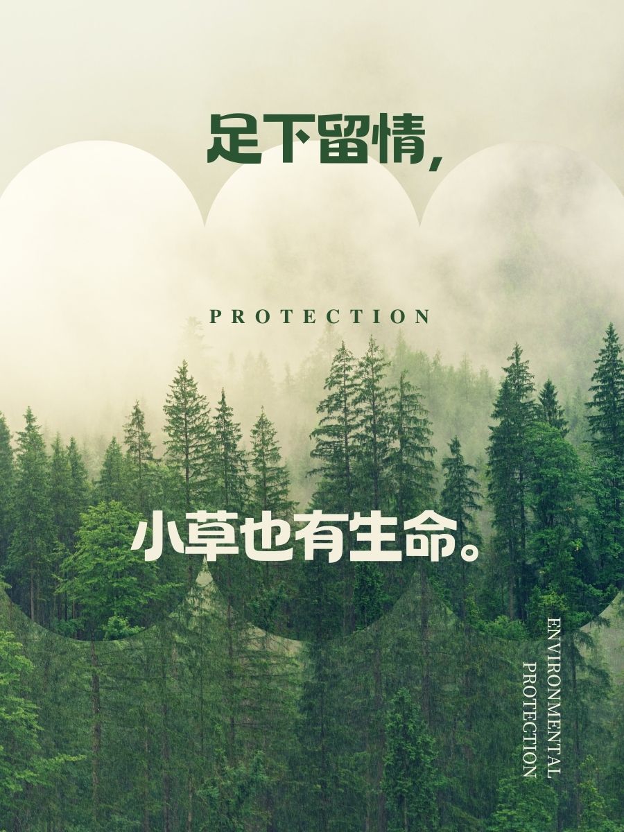 小草cc的词语小草CC，生命之绿，自然之韵-第3张图片