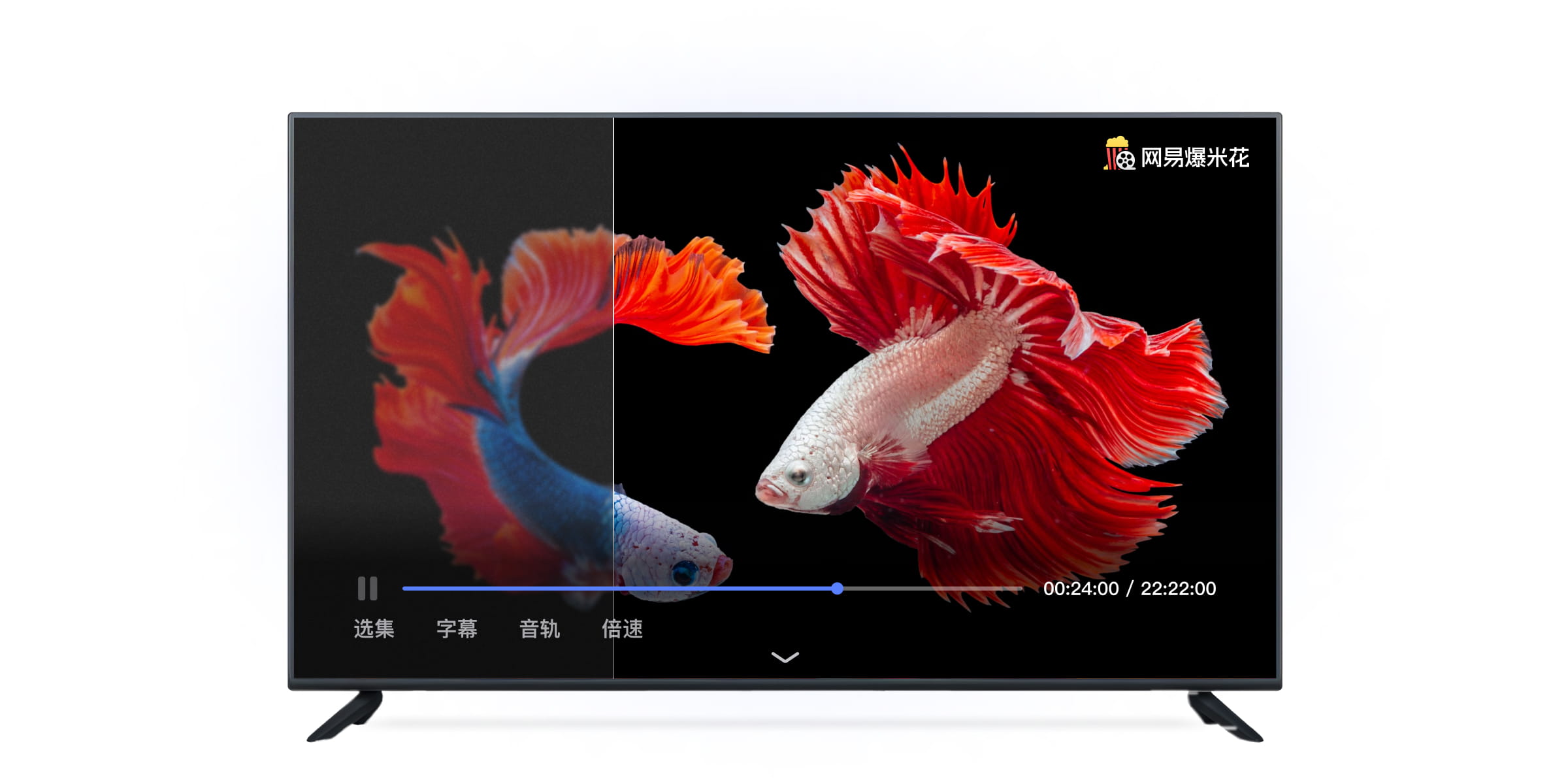 大片性播放器纤纤影院mp4大片性播放器，引领视听新潮流