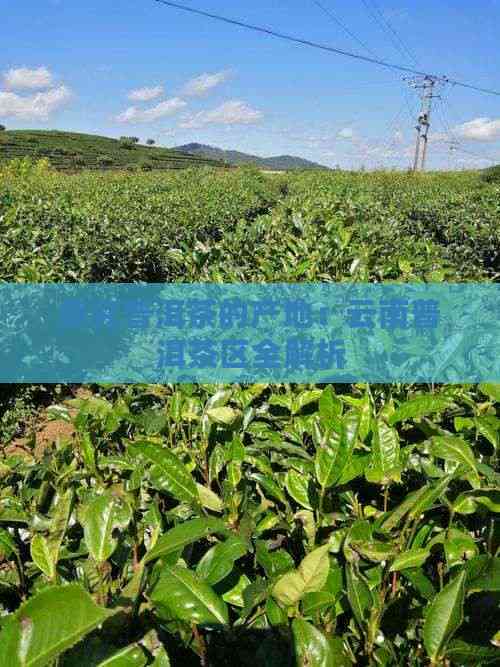 精产国手机一二三产区区别-第2张图片