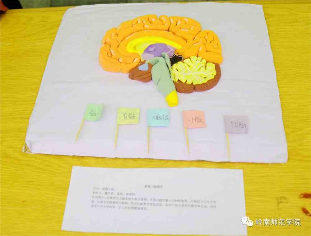 我成为了生物课性实验的教具-第2张图片