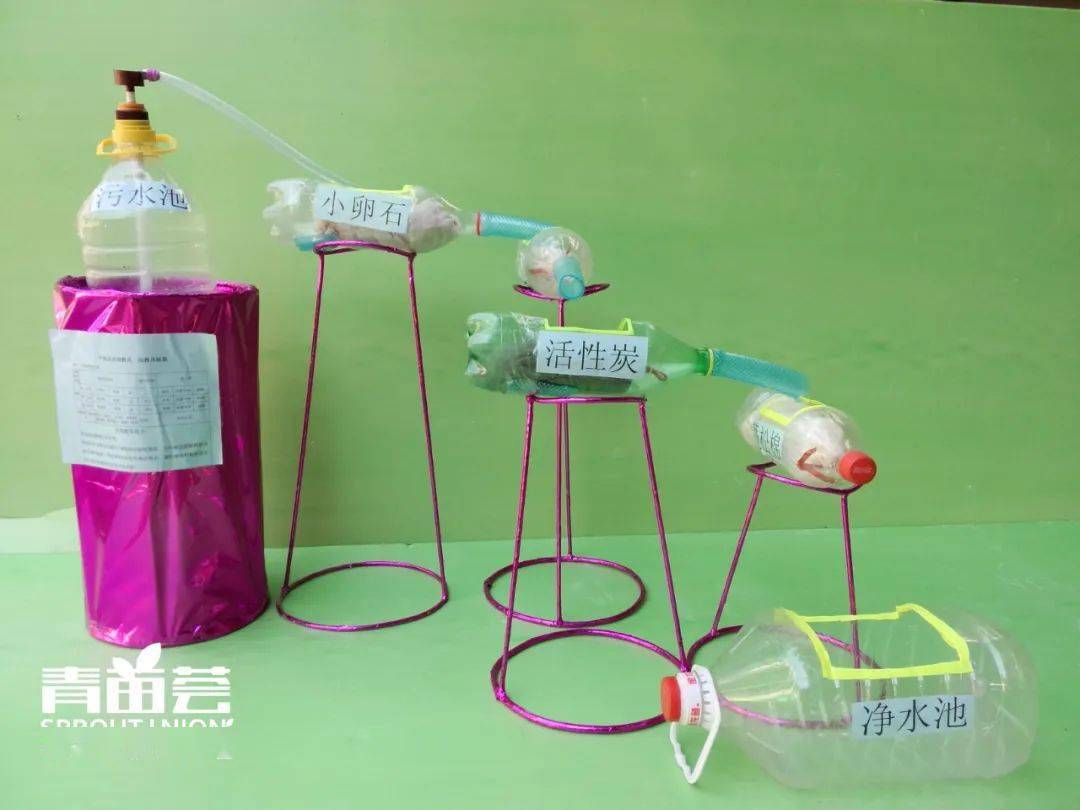 我成为了生物课性实验的教具