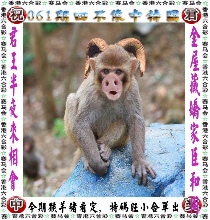 马会传真内部绝密信封资料马会传真内部绝密信封资料