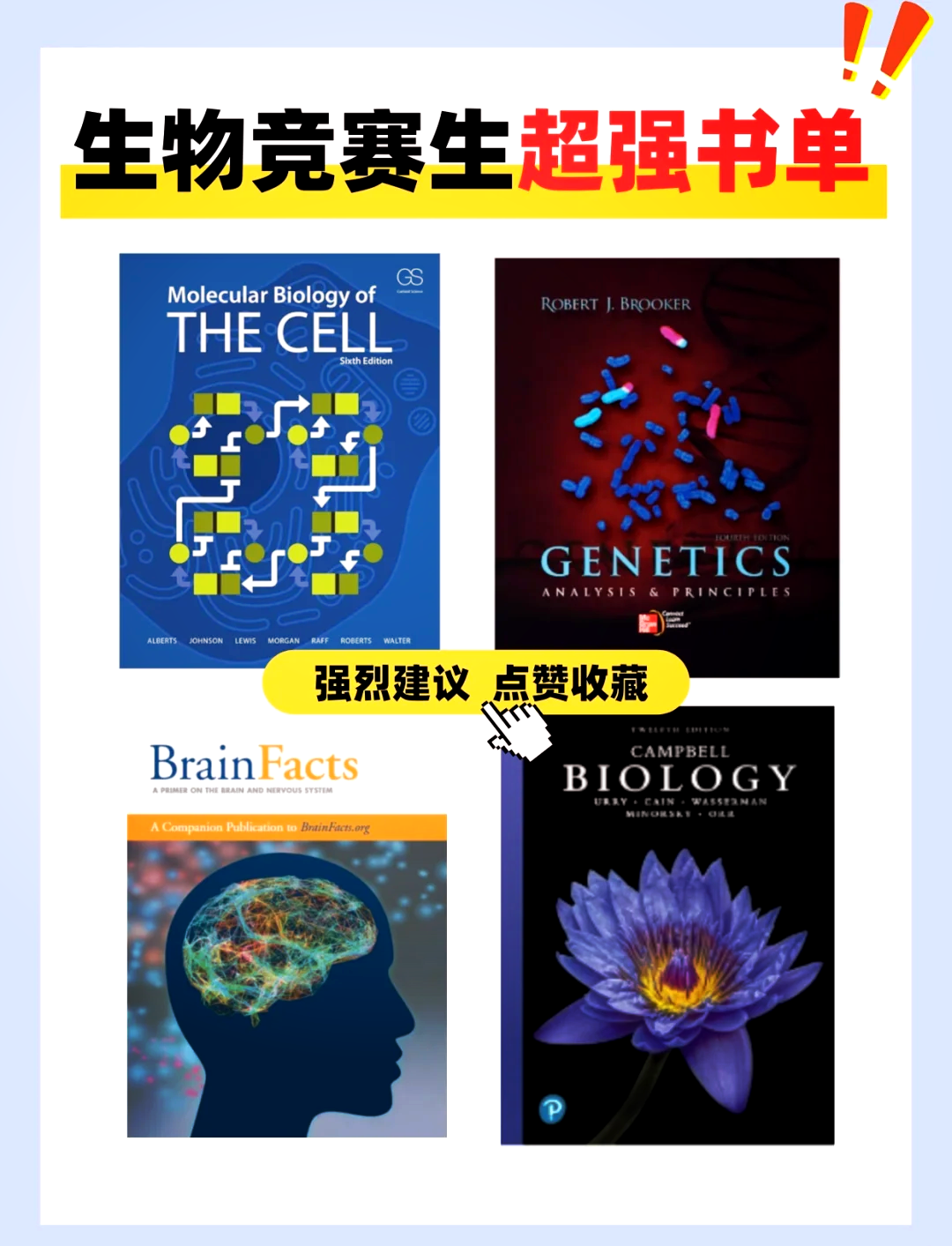狗狗与人类DNA狗狗与人类DNA，探索生物遗传的奥秘-第1张图片