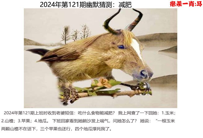 新澳门开奖结果新澳门开奖结果揭晓，澳门新篇章-第2张图片