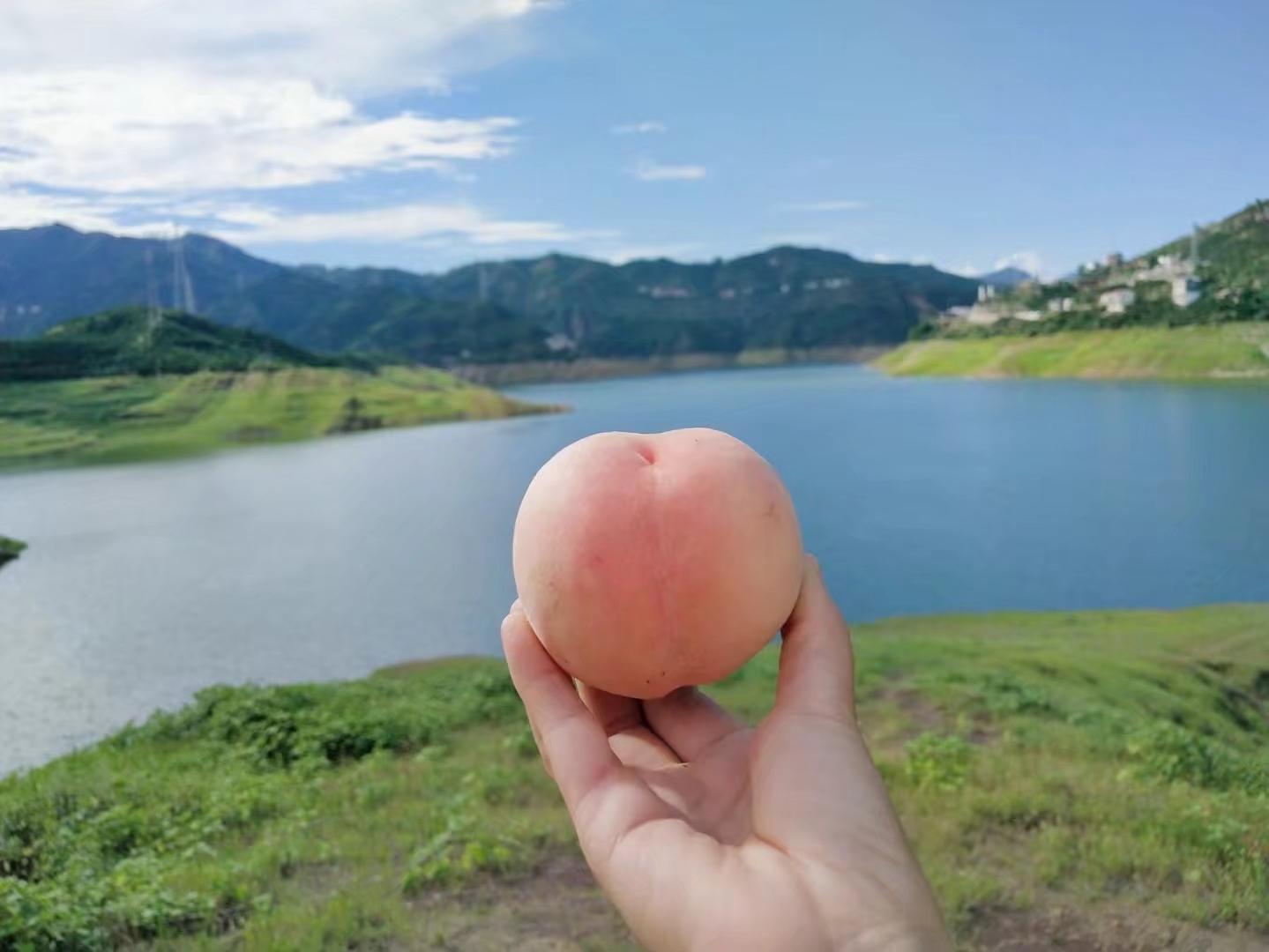 岳的大白屁股光溜溜