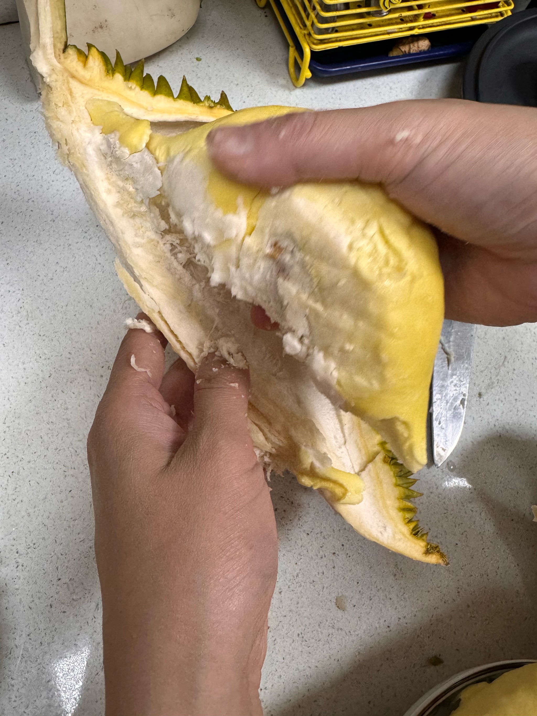 榴莲视频免费下载app观看榴莲视频免费观看与下载指南-第2张图片