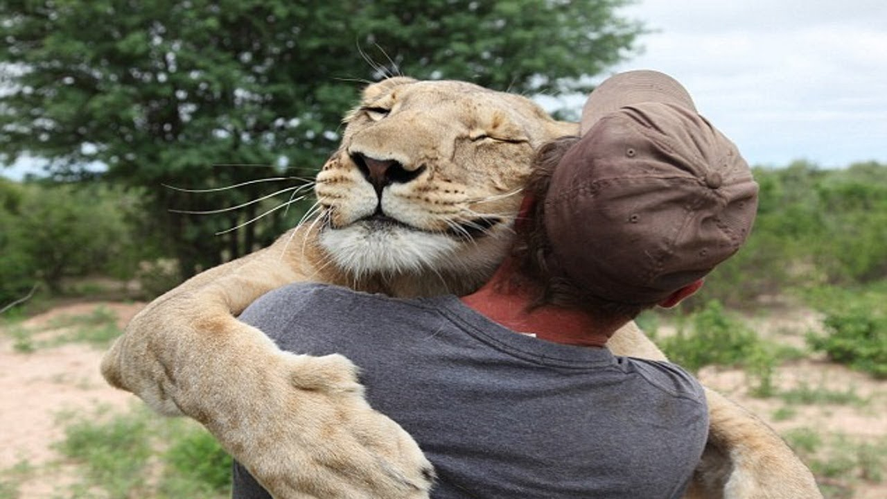 人类大战猛兽的视频大全人类大战猛兽的视频大全-第2张图片