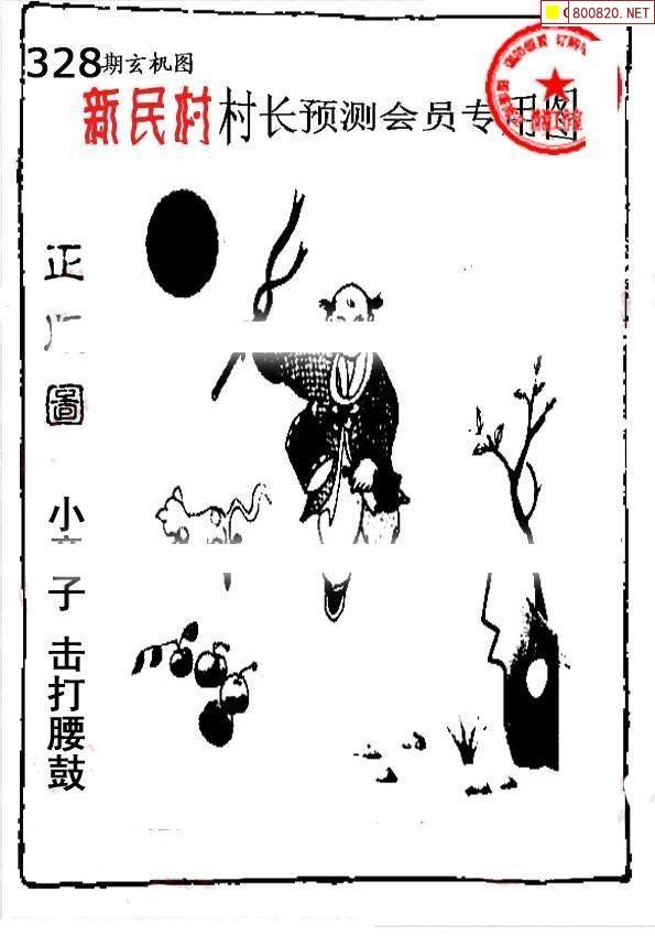最准确的马报彩图
