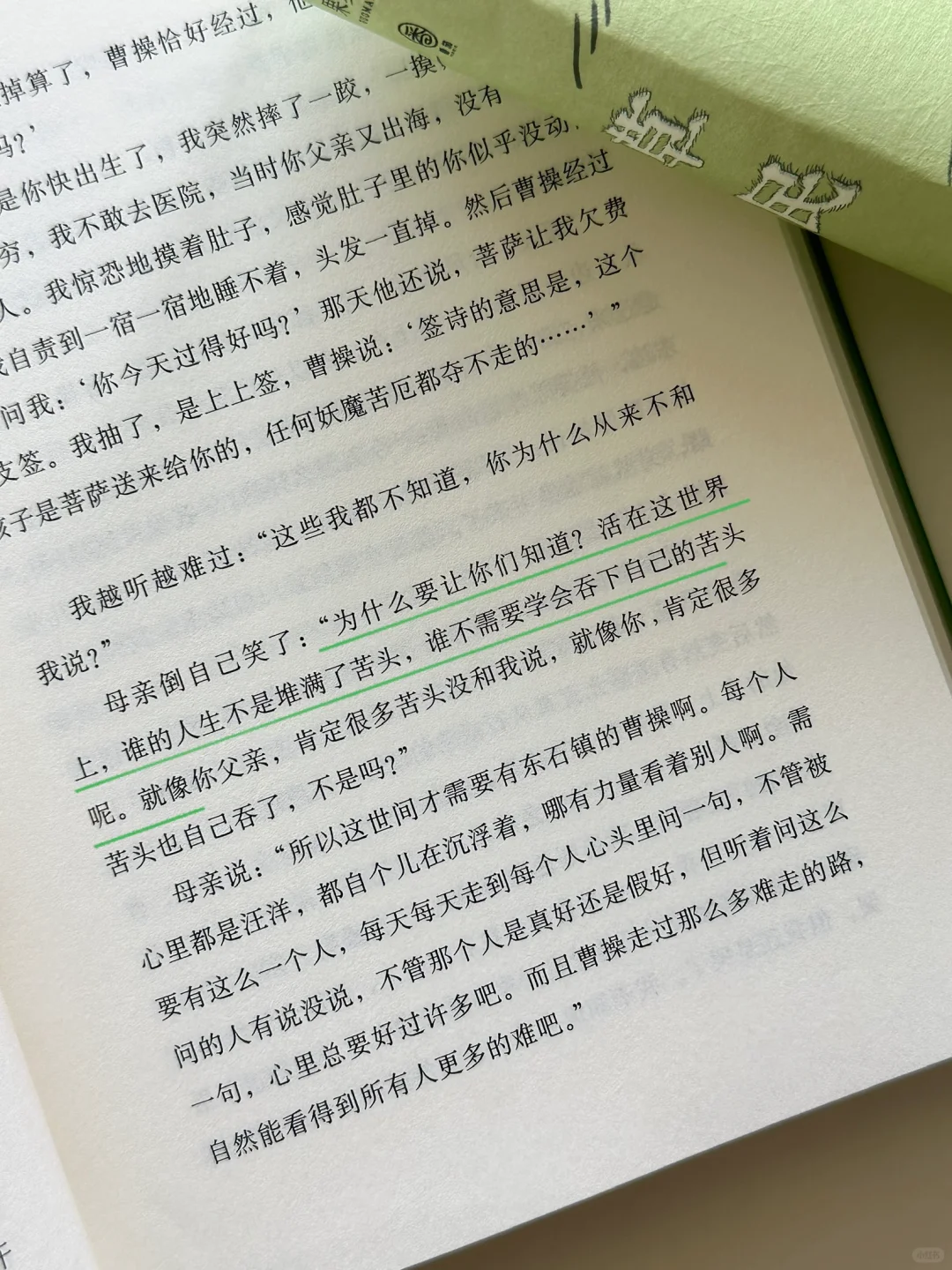 小草回家永不迷路2024小草回家永不迷路2024