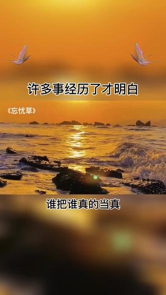 老狼一区忘忧草欢迎您大豆男男老狼一区忘忧草欢迎您——大豆男男的魅力天地-第2张图片