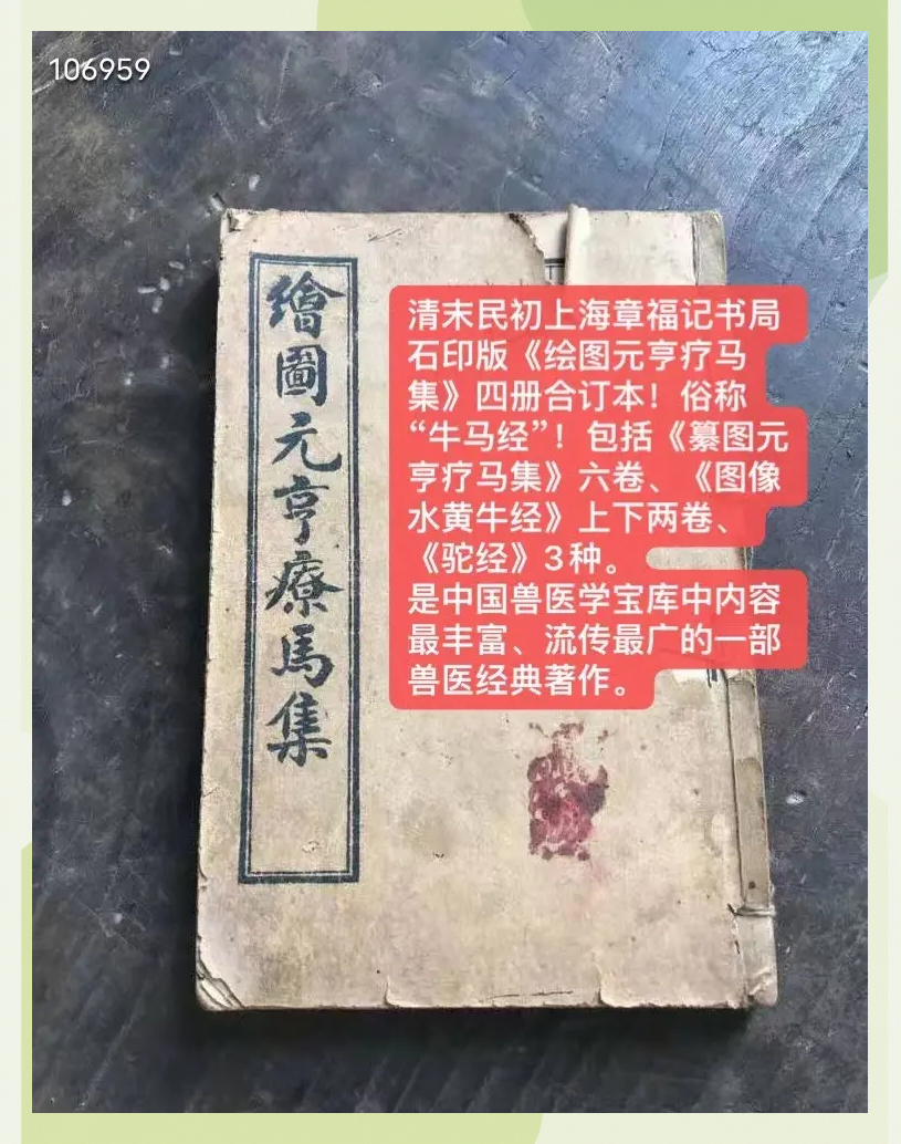 马经258图库，探索古代马匹知识与图谱的宝库