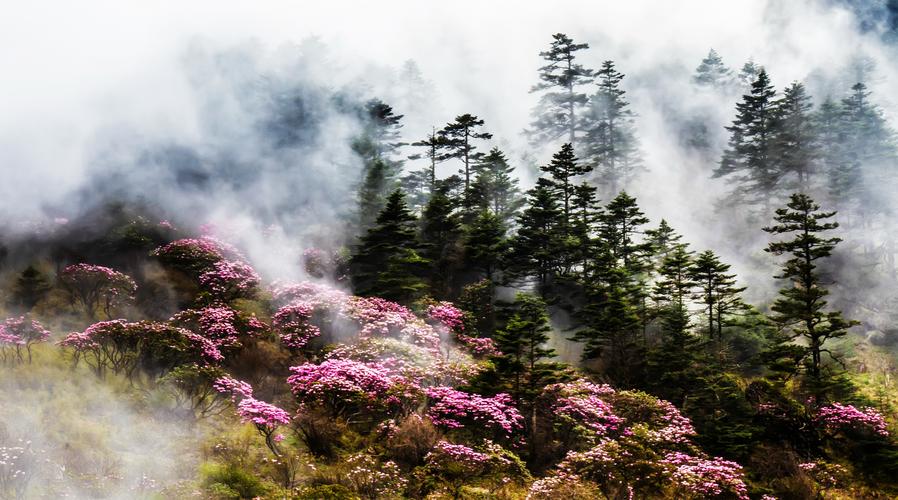 好朋友妈妈的心思_妈妈的朋友四季_四季朋友妈妈在线观看