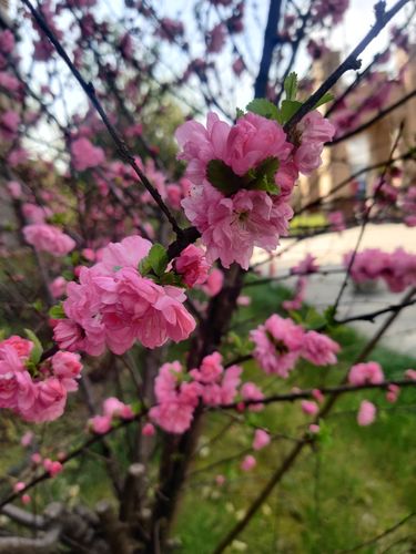 春暖花开论坛地址_春暖花开地址_春暖v花开x吧最新地址