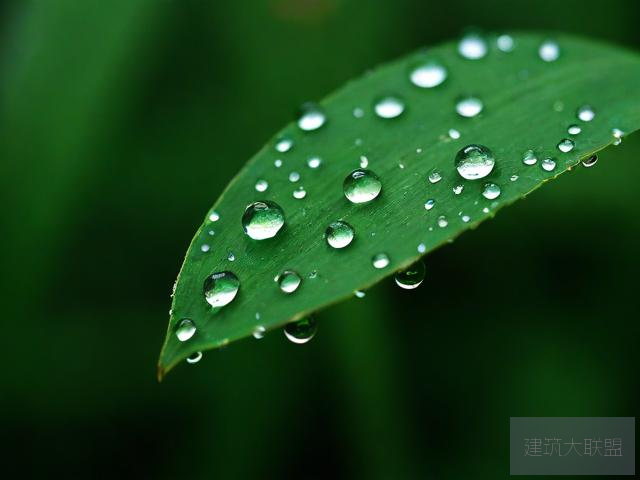 雨后的小故事图雨后小故事图