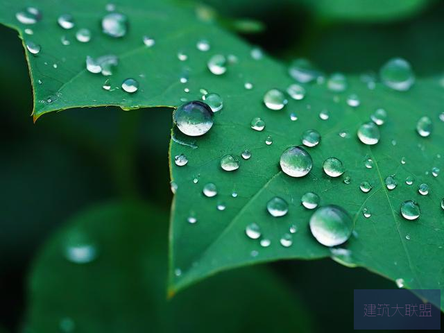 中医老王和小雨的祛毒之旅