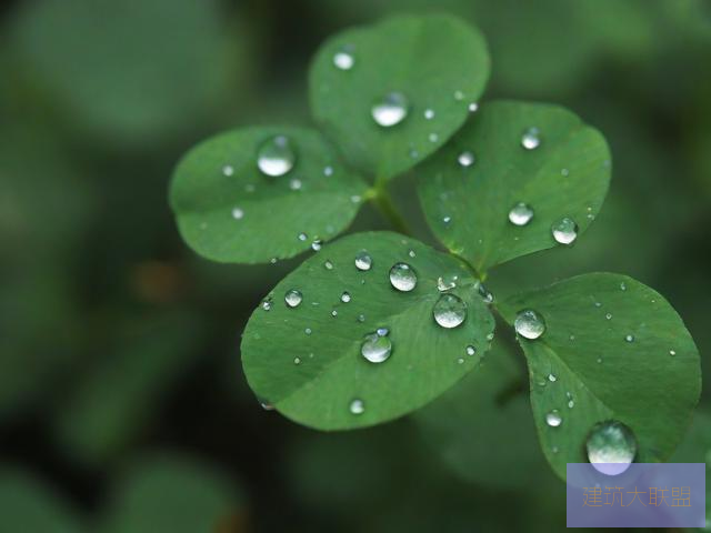 雨后小故事原版动态图下载雨后小故事原版动态图下载