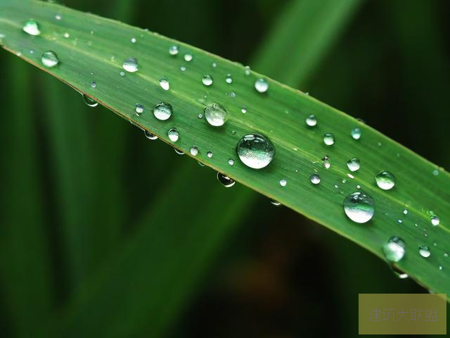 雨后小故事是啥啊雨后小故事，黄GIF完整版