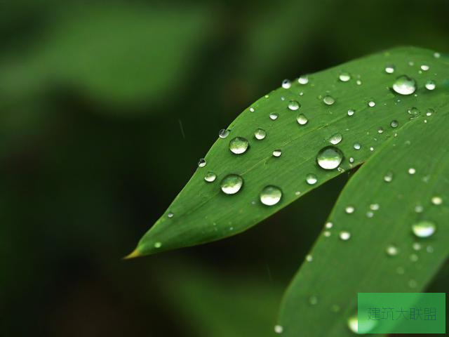 雨后小故事是啥啊雨后小故事，黄GIF完整版