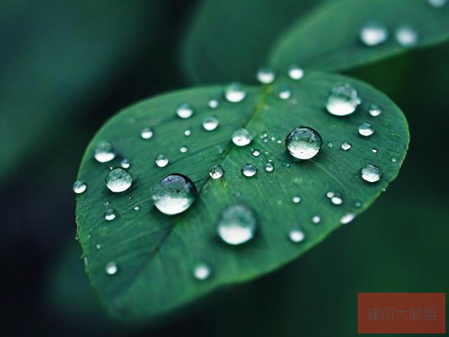 雨后的故事微信图片雨后的故事闪图