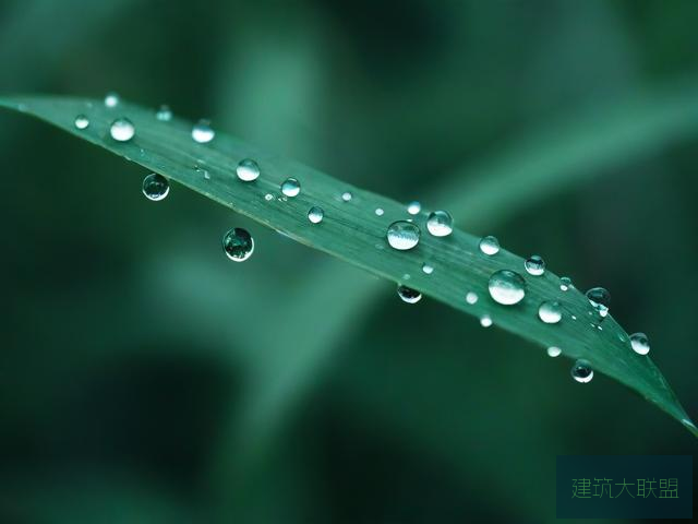 雨后小故事闪图