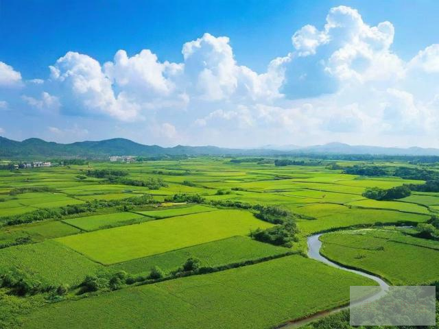 大地资源二在线观看官网大地资源二在线观看官网介绍