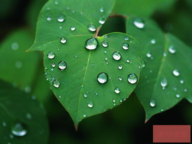 动态图片雨后小故事动态图片雨后小故事