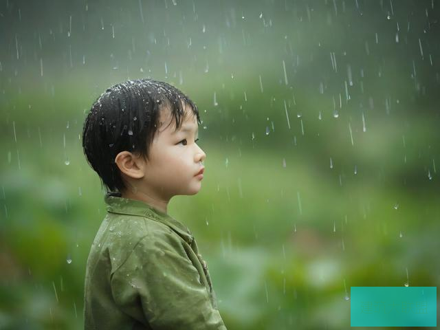 雨后小故事 动态图下载雨后小故事，动态的温馨时刻