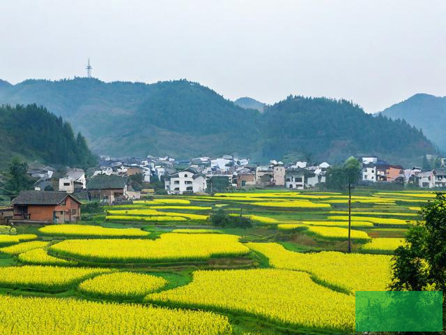 乡村同志乡村同志，共筑美好生活