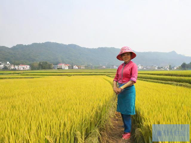 耕耘媳妇肥沃的土地耕耘媳妇肥沃的土地