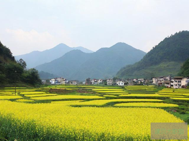 风流欢野乡，探寻自然之美与人文之韵