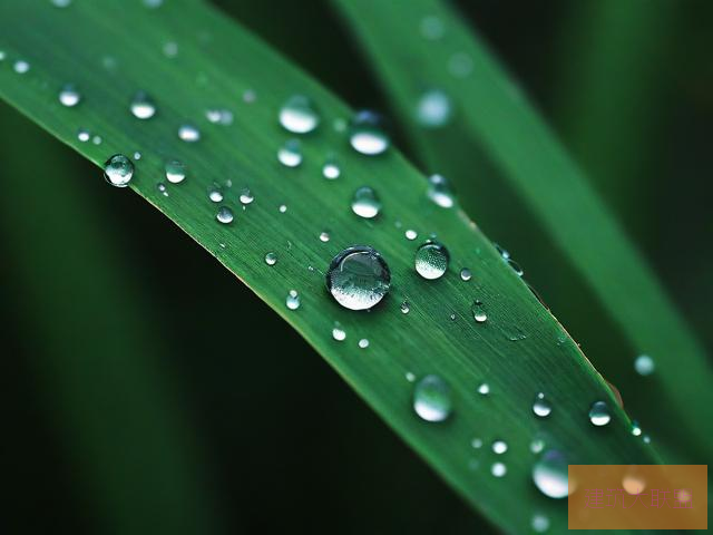 雨后的故事 图片雨后的故事