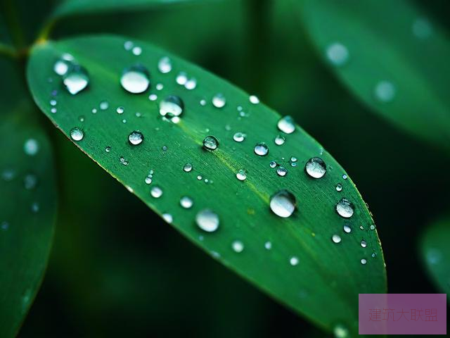 雨后的故事 图片雨后的故事