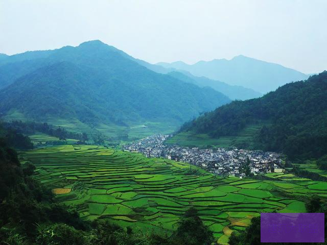 大山里面的生活大山里的欲生活