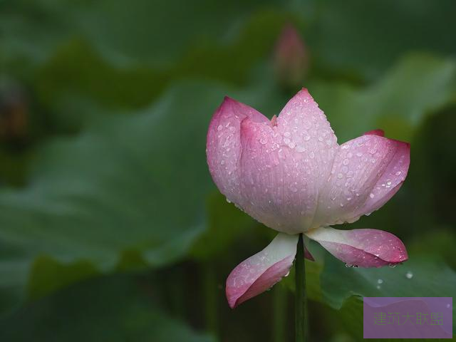 雨后小故事网站雨后小故事网站